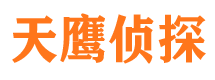 仲巴市侦探公司